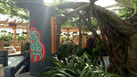 生态餐厅农家乐图片