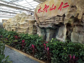 生态餐厅农家乐图片