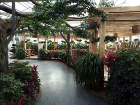 生态餐厅农家乐图片