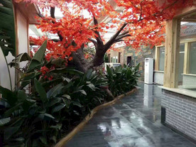 生态餐厅农家乐图片