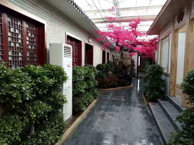 生态餐厅农家乐图片