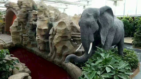 生态餐厅农家乐图片