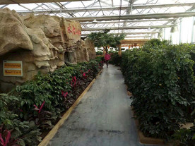 生态餐厅农家乐图片