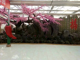 生态餐厅农家乐图片