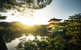 清新自然风景