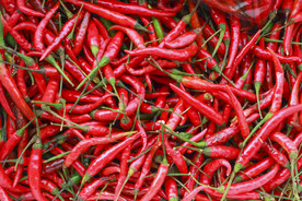 辣椒