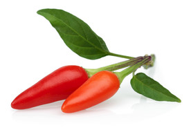 辣椒