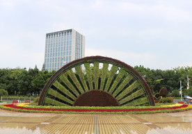 公园绿化