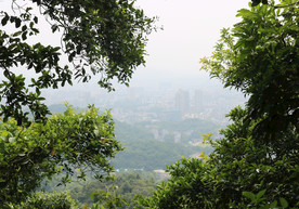 山上风景