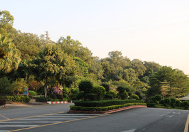 车道