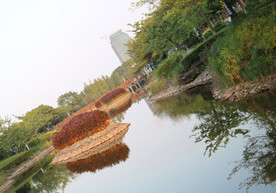 官洲