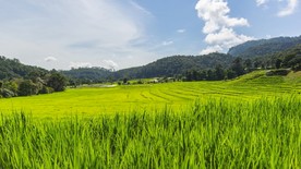 自然风景壁纸