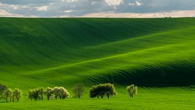 自然风景壁纸