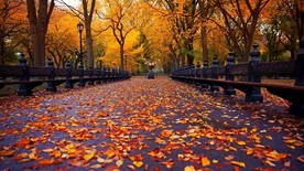 自然风景壁纸