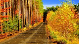 自然风景壁纸