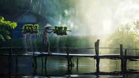 清新自然风景