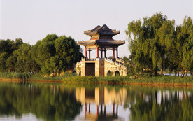 清新自然风景