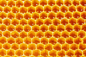 蜂巢