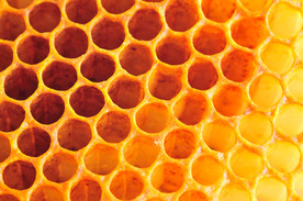 蜂巢