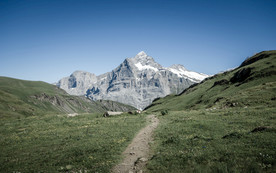 清新自然风景