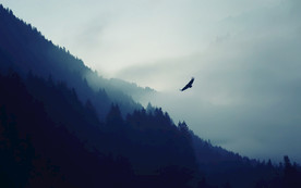 清新自然风景