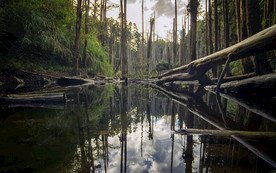 清新自然风景
