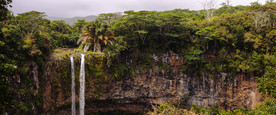 清新自然风景