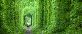 清新自然风景