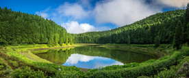 清新自然风景