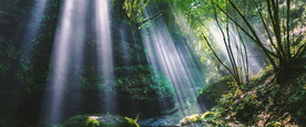 清新自然风景