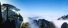 清新自然风景