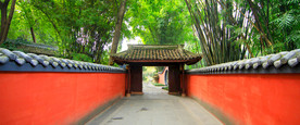 清新自然风景