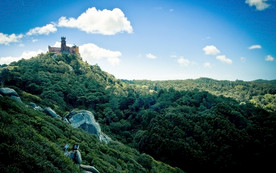 清新自然风景