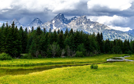 清新自然风景