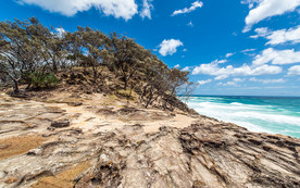 清新自然风景