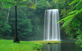 清新自然风景