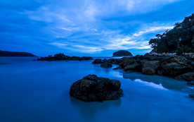 清新自然风景