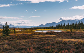 清新自然风景