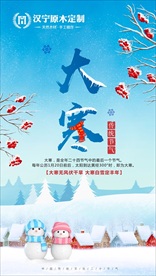 大寒 冬天 雪花 寒冷 腊月