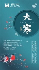 大寒 冬天 雪花 寒冷 腊月