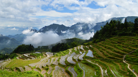 美丽的梯田景观