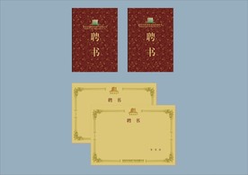 vi设计