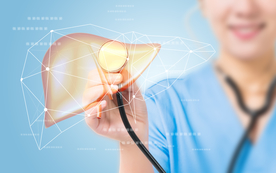 肝脏的治疗和诊断