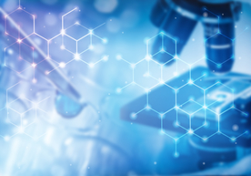 实验研究 显微镜观察