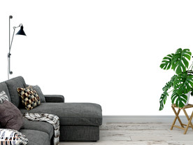 背景墙样机 场景 样机 装饰画