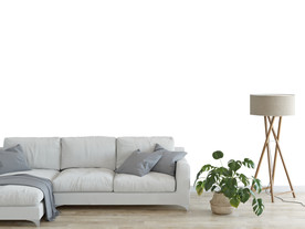 背景墙样机 场景 样机 装饰画