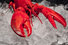 龙虾