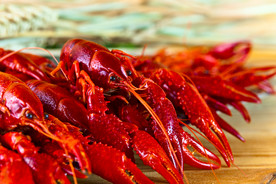 龙虾