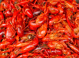 龙虾