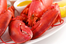 龙虾